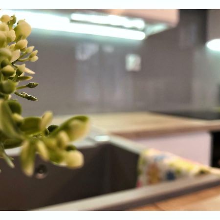 Apartament Przy Ratuszu Rzeszów Exteriér fotografie