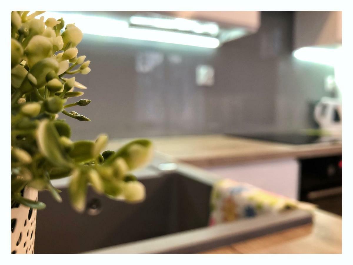 Apartament Przy Ratuszu Rzeszów Exteriér fotografie